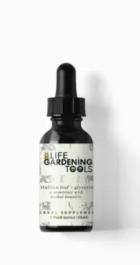 Alcohol-Free Mullein Glycerite Extract 1