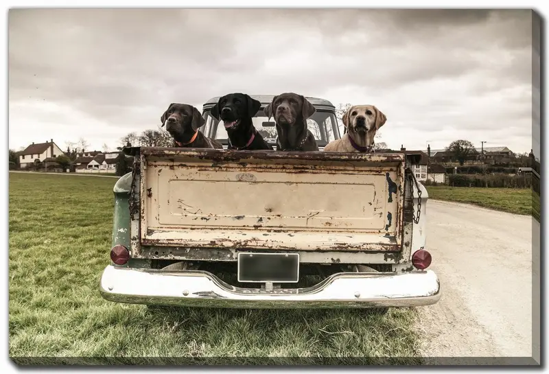 Bold Tailgate Wall Art – 'Tailgate Crew' – 30X45 Inch Rustic-Inspired Print 1