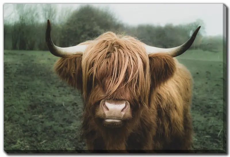 Brown And Green Woolly-Themed Wall Print – 30 X 45 Inches 1