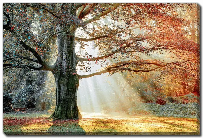 Contemporary Orange Wall Art – Seasons Divide Series, 30X45 Inches 1