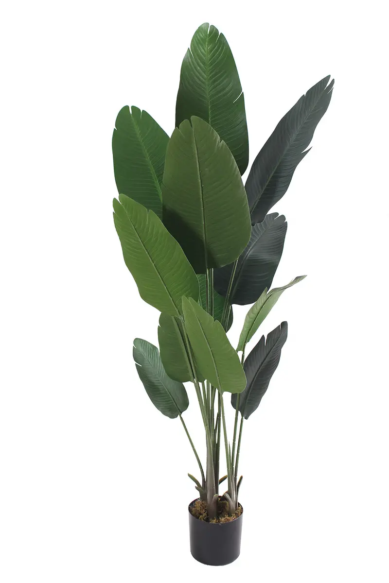 Garden Party 5.91-Foot Artificial Banana Tree – Indoor Foliage Plant With Realistic Trunk 1