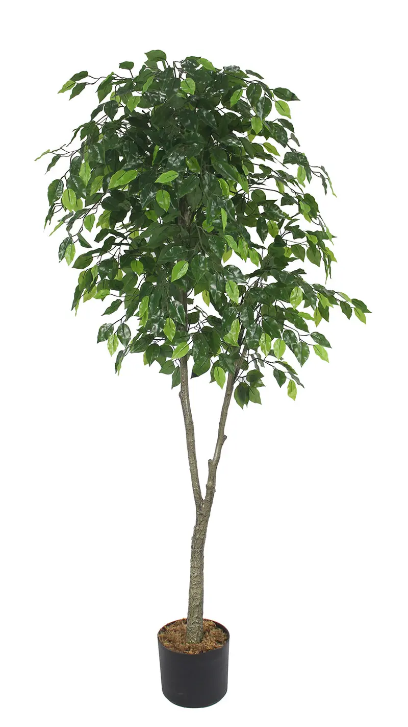 Garden Party 5.91-Foot Ficus Tree Replica – Indoor Artificial Greenery With Natural Branching 1