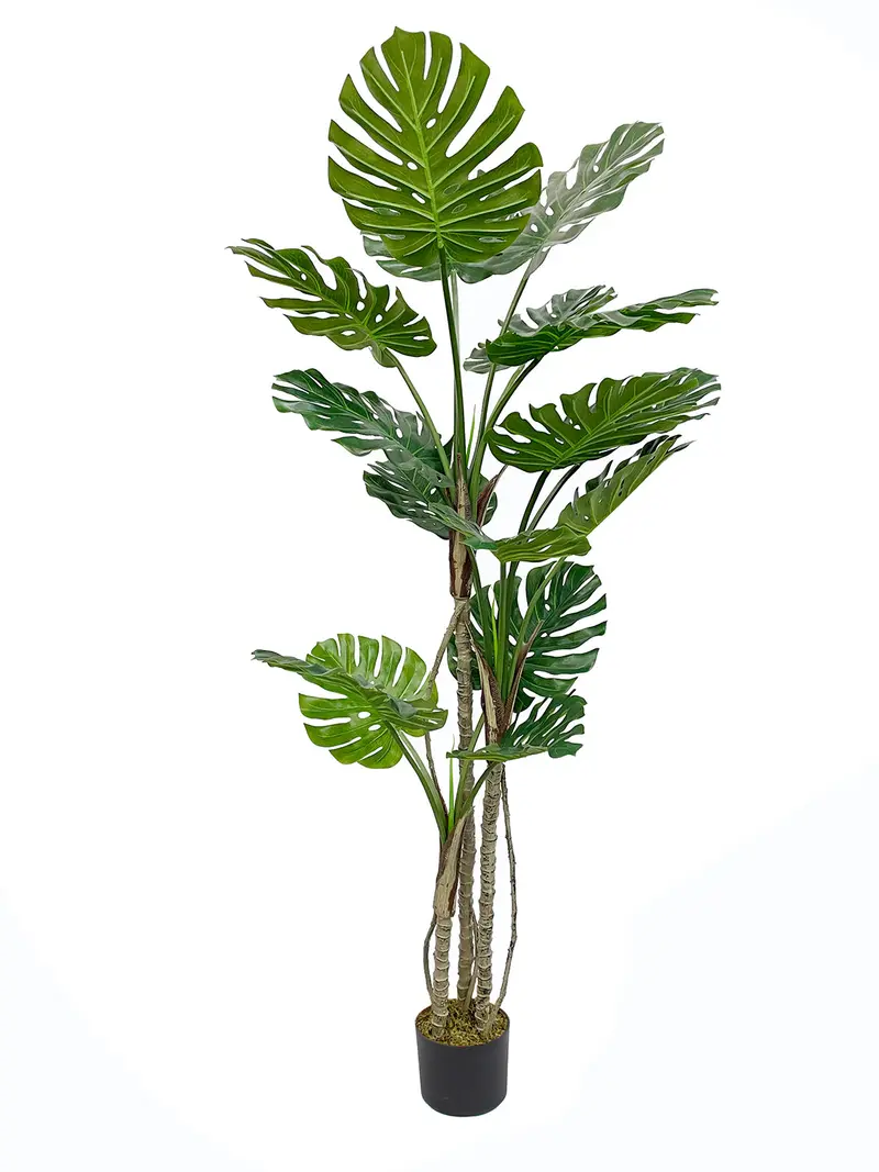 Garden Party Alternate-Style 5.91-Foot Yucca Plant – Indoor Artificial Statement Piece 1