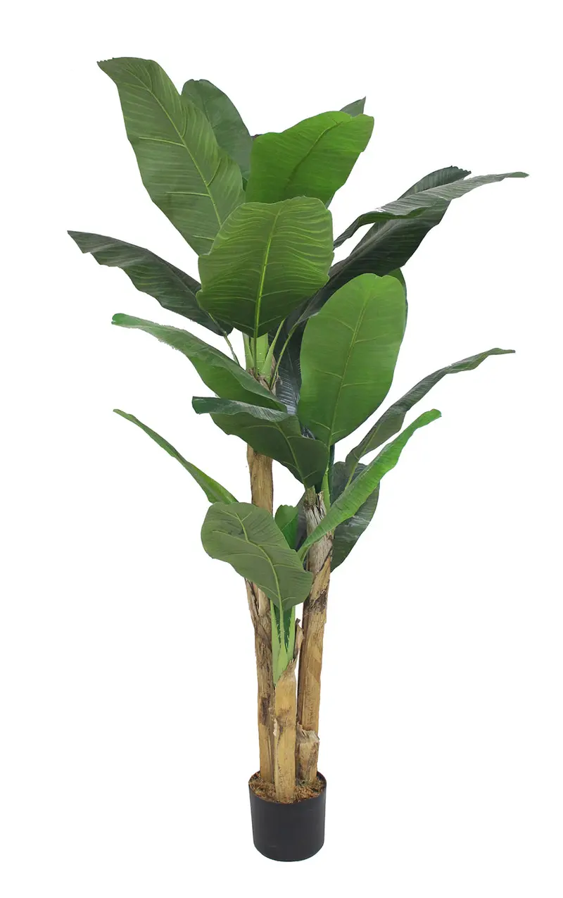 Garden Party Multi-Trunk Banana Tree – 5.91-Foot Indoor Artificial Statement Plant 1