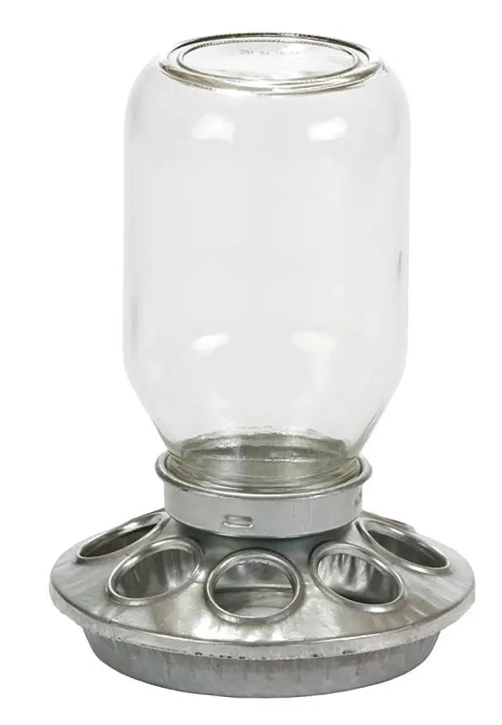 Little Giant Mj9810 1-Quart Multi-Compartment Baby Chick Feeder – Steel Construction With Rounded Edges And Embossed Design 1