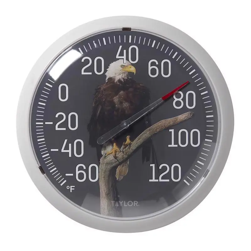 Taylor Eagle-Themed Dial Thermometer – Plastic, Multicolor, 13.25-Inch 1