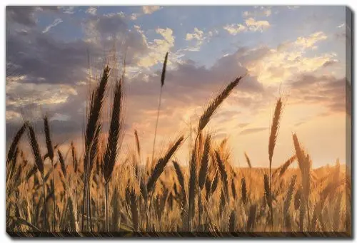 Warm Wheatlight Wall Art – Brown Tone – 22 X 28 Inches 1