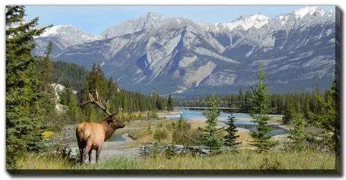 Wilderness Gaze Framed Wall Art – Serene Blue/Green Theme, 30" X 60" 1