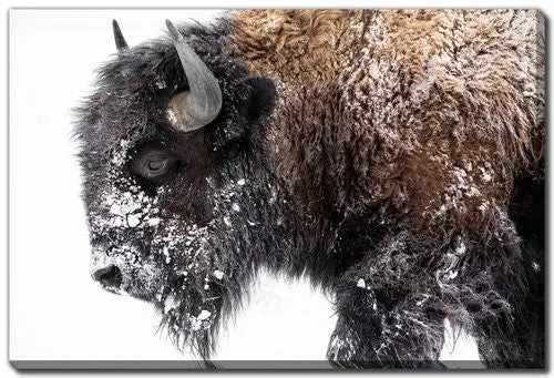 Winter Coat Minimalist Wall Art – Warm Brown Hue, 16" X 20" 1