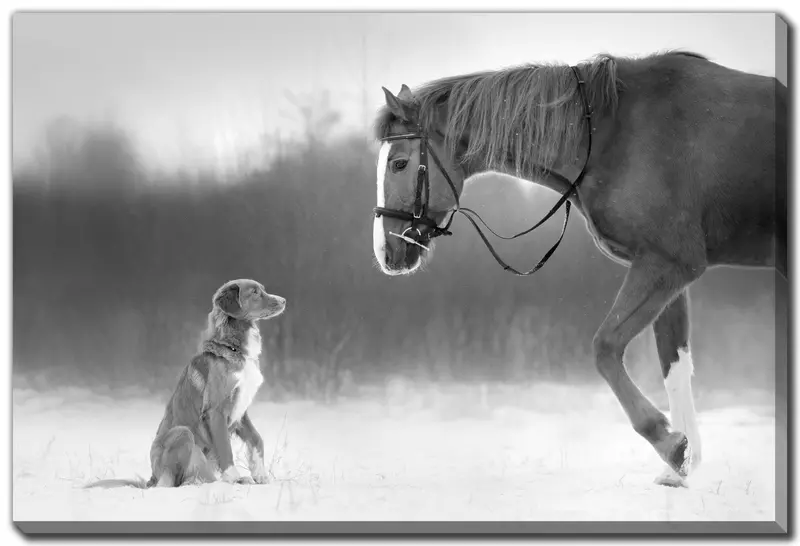 Winter Companions Contemporary Wall Decor – Elegant Grey Design, 30" X 45" 1