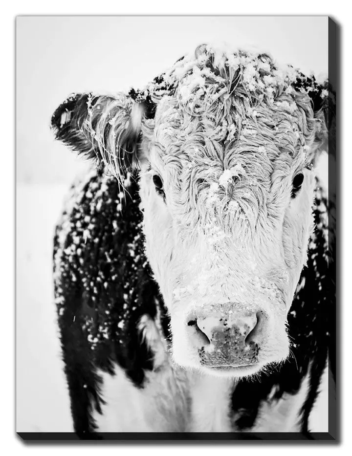 Winter-Themed 'Depth Of Winter' Art Print – Sophisticated Black-And-White, 38X60 Inches 1
