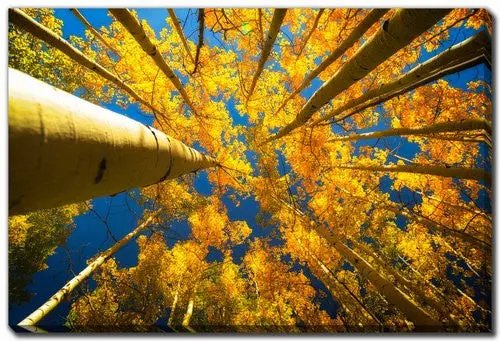 Yellow Botanical Wall Art Print - 'Beneath The Leaves' - 16X20 Inches 1